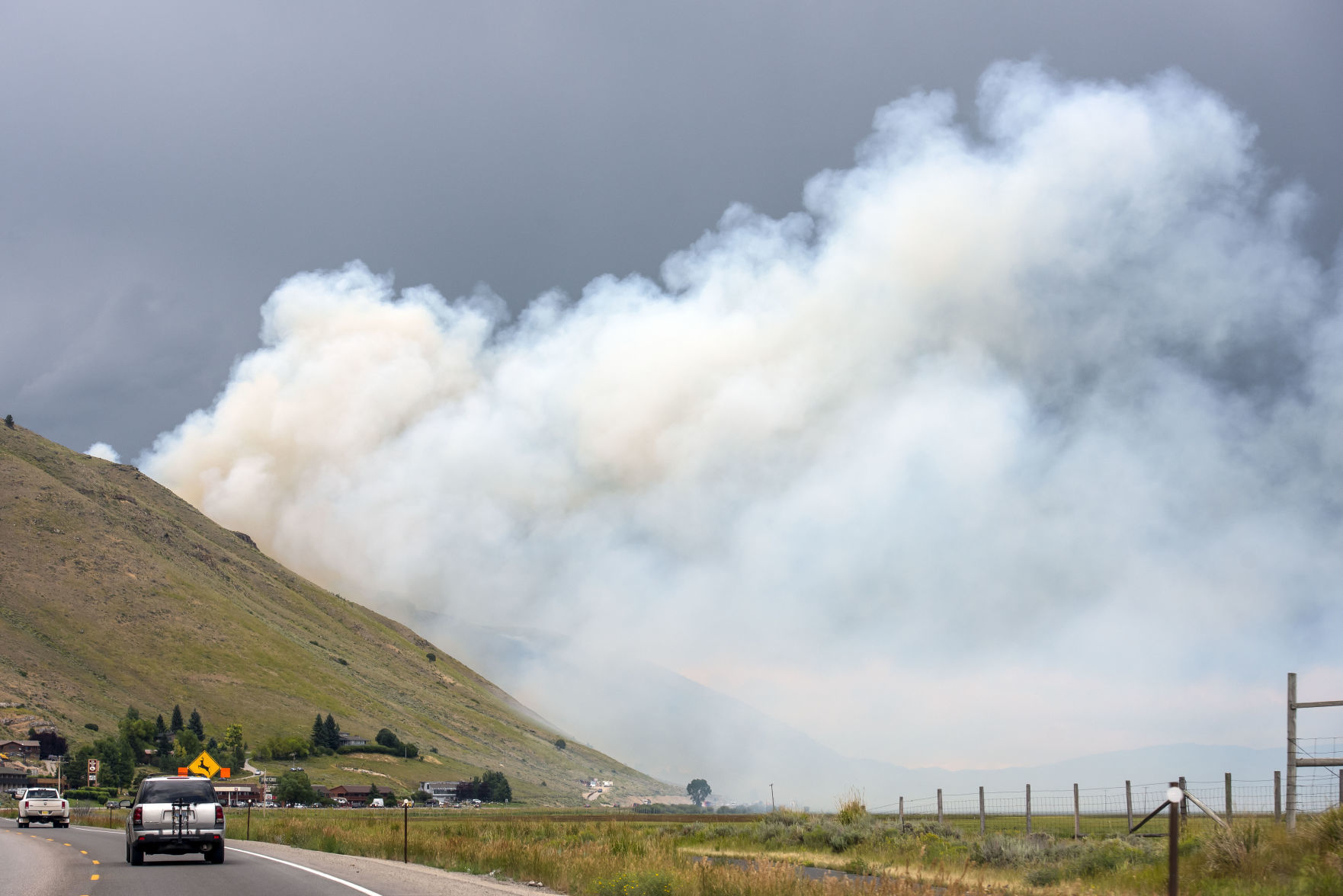 Wildlife Museum Fire